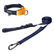 분독 강아지 카라비너 플레이리쉬 2m + 마틴게일 목줄 세트, 네이비, 1세트
