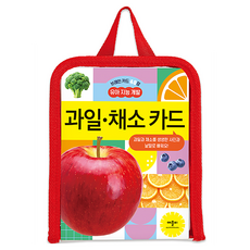 브레인 카드 48장 유아 지능 개발 과일 채소 카드, 애플비, 상세 설명 참조