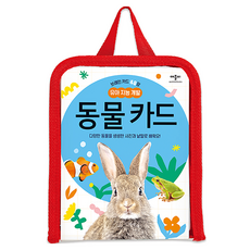 브레인 카드 48장 유아 지능 개발 동물 카드, 애플비, 단품