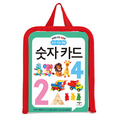브레인 카드 48장 유아 지능 개발 숫자 카드