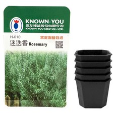 KNOWN-YOU SEED 農友種苗 迷迭香Rosemary種子 + 香草育苗專用八角方盆 2吋 5個, 1套