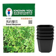 KNOWN-YOU SEED 農友種苗 馬約蘭花Sweet Marjoram(馬鬱蘭、墨角蘭、馬郁蘭)種子 + 香草育苗專用八角方盆 2吋 5個, 1套