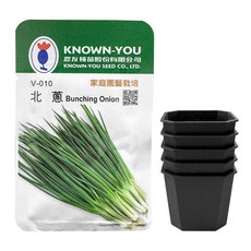 KNOWN-YOU SEED 農友種苗 北蔥種子(Bunching Onion) + 香草育苗專用八角方盆 2吋 5個, 1套