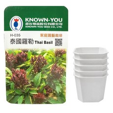 KNOWN-YOU SEED 農友種苗 泰國羅勒 Thai Basil 種子 + 香草育苗專用八角方盆 2吋 5個, 1套