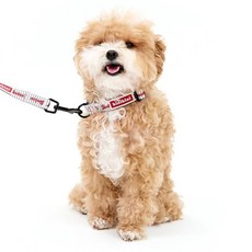 키니키니 강아지 XLG트윈 어센틱 스트라이프 목줄, 화이트, 1개