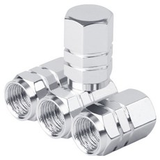 아이작큐브 자동차 타이어 밸브캡, 4개, 02 실버