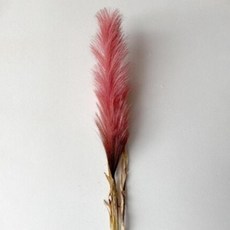 조화 팜파스 가지 139cm, DK PINK, 3개