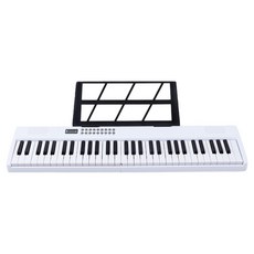 Blanth 博蘭仕 平價版61鍵摺疊琴 midi功能 + LED跟彈, 1個, BD890ML, 白色