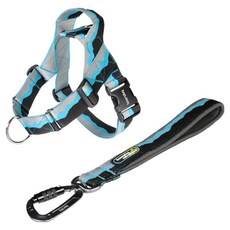 분독 강아지 어드벤처 트래픽 리쉬 + 0109 하네스 세트, 블루, 1세트