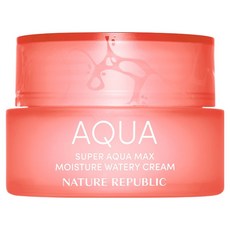 네이처리퍼블릭 슈퍼 아쿠아 맥스 모이스처 수분크림 건성용, 80ml, 1개