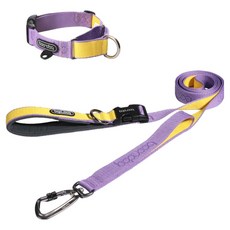 분독 강아지 카라비너 플레이 리쉬 2m + 마틴게일 목줄 세트, 퍼플레몬, 1세트