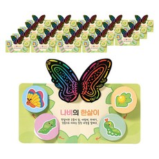 민화샵 나비 한살이 북아트 만들기 RDPPP0510, 혼합색상, 10세트