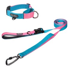 분독 강아지 카라비너 플레이 리쉬 2m + 마틴게일 목줄 세트, 아쿠아핑크, 1세트
