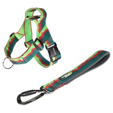 분독 강아지 어드벤처 트래픽 리쉬 + 0109 하네스 세트, 그린, 1세트