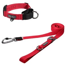 분독 강아지 카라비너 플레이 리쉬 250cm + 마틴게일 목줄 세트, 레드, 1세트