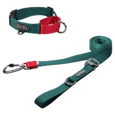 분독 강아지 카라비너 플레이 리쉬 320cm + 마틴게일 목줄 세트, 그린, 1세트
