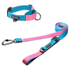 분독 강아지 카라비너 플레이 리쉬 320cm + 마틴게일 목줄 세트, 아쿠아핑크, 1세트