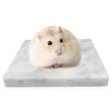 햄스터 대리석 쿨매트 소형, 1개
