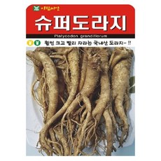 아람종묘 슈퍼 도라지 씨앗 1000p, 1개 1개