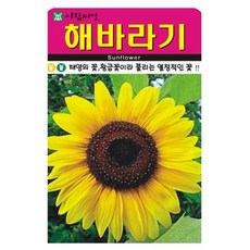 아람종묘 해바라기 꽃 씨앗 50p, 1개 1개