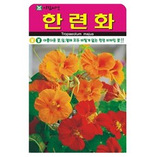 아람종묘 한련화 꽃 씨앗 20p