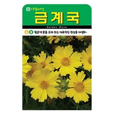 아람종묘 금계국 꽃 씨앗 500p, 1개 1개