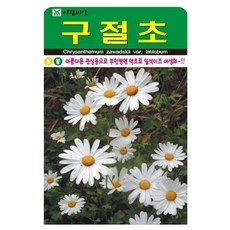 아람종묘 구절초 꽃 씨앗 1000립, 1개