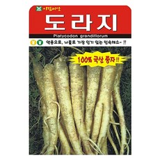 아람종묘 도라지 중포장 씨앗 12000p, 1개