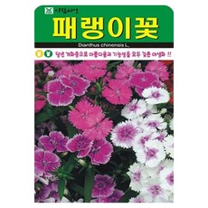 아람종묘 패랭이 꽃 씨앗 500p, 1개 1개