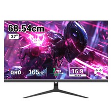 디엑스 QHD 165Hz 게이밍 컴퓨터 모니터, 69cm, DX270QHD165(일반)
