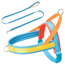 테이아 강아지 플레이바우 크레용 T형 하네스 + 리드줄 세트, 체크코발트블루, 1세트