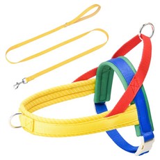 테이아 강아지 플레이바우 크레용 T형 하네스 + 리드줄 세트, 옐로우, 1세트