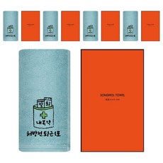 송월타월 직장인 퇴근처방전 컬러 고리 핸드타월 + 케이스 세트, 스카이, 5세트
