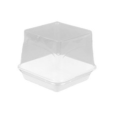 DesignPackage 甜點容器 大 ZYL2302, 50個, 1入