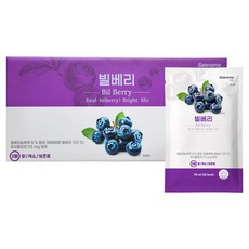 새로미 빌베리 30p, 2.7L, 1개