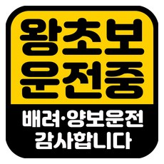 Mungkiwoldeu 高亮度反光彩色可拆卸磁吸式車貼 新手駕駛 140 x 140 mm RMD, 1個, RMD_055