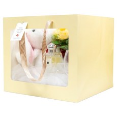 JPackTory 正方形答謝禮透明窗蛋糕提袋 2號 28 x 28 x 25 cm, 1入, 10個