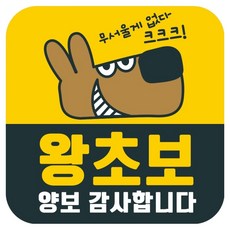 Mungkiwoldeu 高亮度反光彩色可拆卸磁鐵車用貼紙 新手駕駛 140 x 140 mm RMD_051, 1個, 混合色