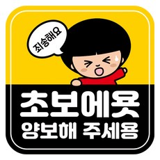 Mungkiwoldeu 高亮度反光彩色可拆卸磁吸式車貼 新手駕駛 140 x 140 mm RMD, 1個, RMD_012