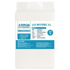 소모 배변패드 베이직 100g, 20개입, 1개