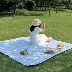 HANSGALLERY 防水感性野餐墊 加厚地墊, 水藍色