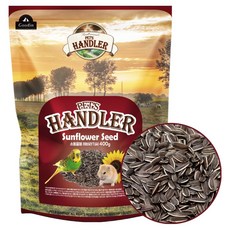 펫츠핸들러 소동물 영양간식 해바라기씨, 400g, 1개
