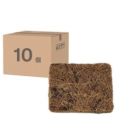 Vegetable Seed 蔬菜工坊 花盆專用天然椰纖片 12 x 7cm, 10個