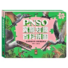 風車圖書 PNSO翼龍知識百科拼圖, 63片, 1個, 綠色