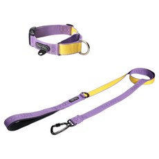 분독 강아지 오리지널리쉬 + 카라비너 마틴게일 목줄 세트, 퍼플레몬, 1개
