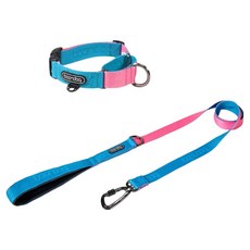 분독 강아지 오리지널리쉬 + 카라비너 마틴게일 목줄 세트, 아쿠아핑크, 1개