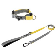 분독 강아지 오리지널리쉬 + 카라비너 마틴게일 목줄 세트, 그레이레몬, 1개