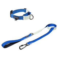 분독 강아지 오리지널리쉬 + 카라비너 마틴게일 목줄 세트, 크림블루, 1개