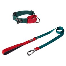 분독 강아지 오리지널리쉬 + 카라비너 마틴게일 목줄 세트, 그린, 1개