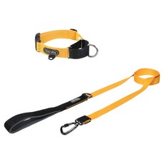 분독 강아지 오리지널리쉬 + 카라비너 마틴게일 목줄 세트, 옐로우, 1개